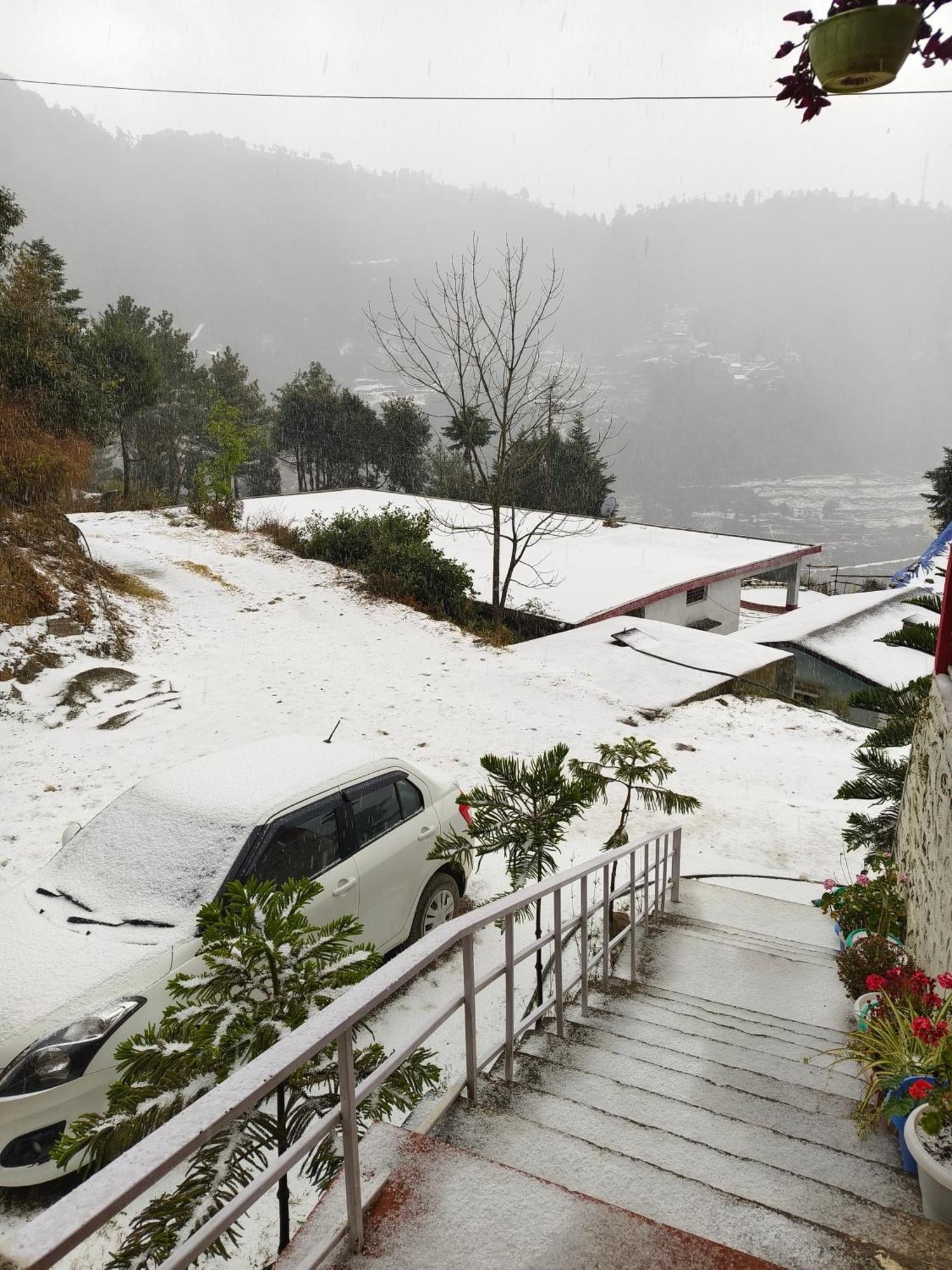 Naina Bird Cottage Nainital Eksteriør billede