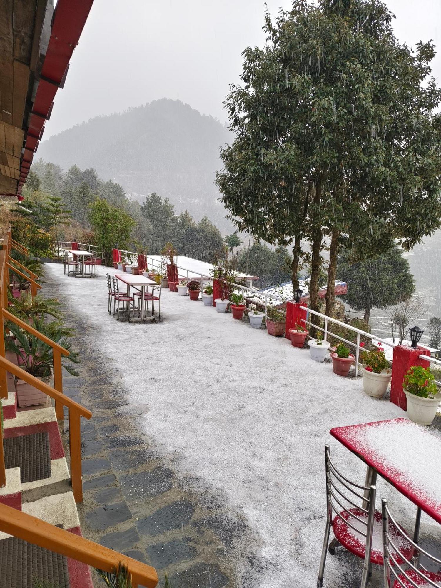Naina Bird Cottage Nainital Eksteriør billede